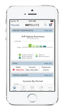 Miniatura NetSuite ERP